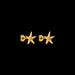 Aloha Starfish Ohrringe
