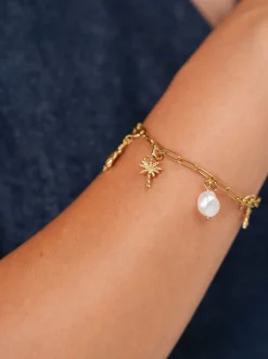 Flex Palmen Charm