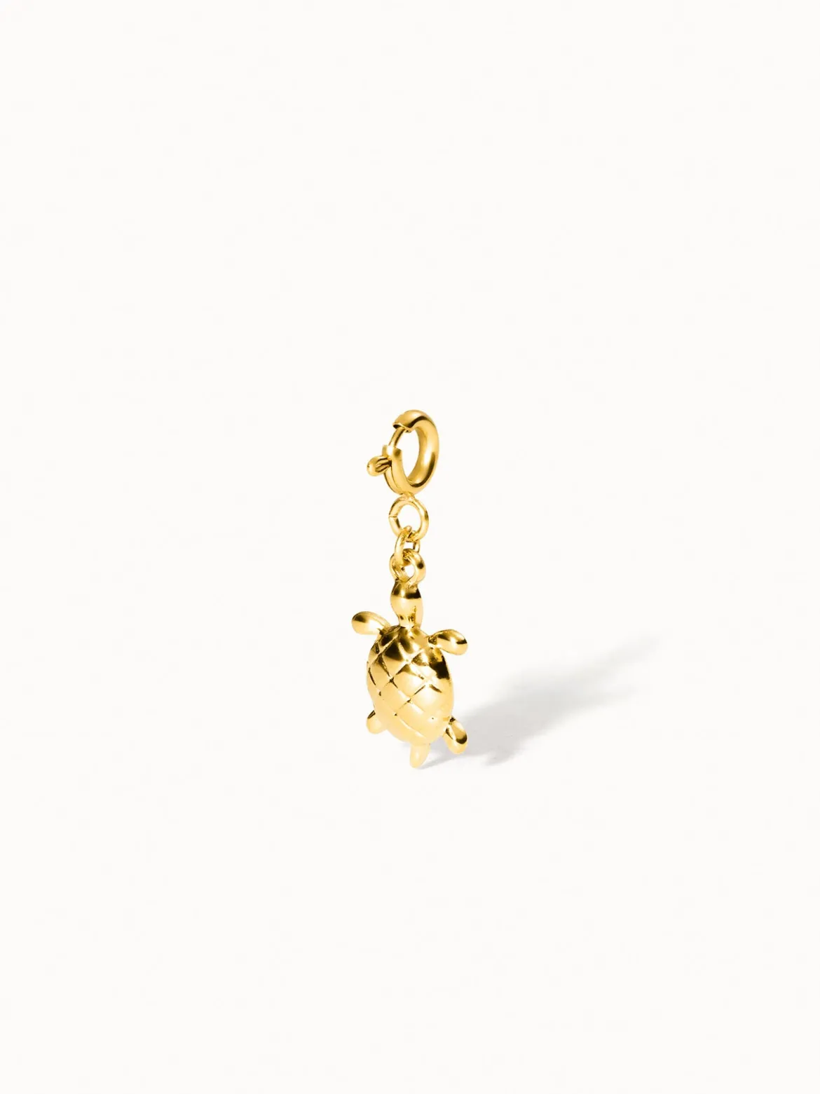 Flex Schildkröten Charm