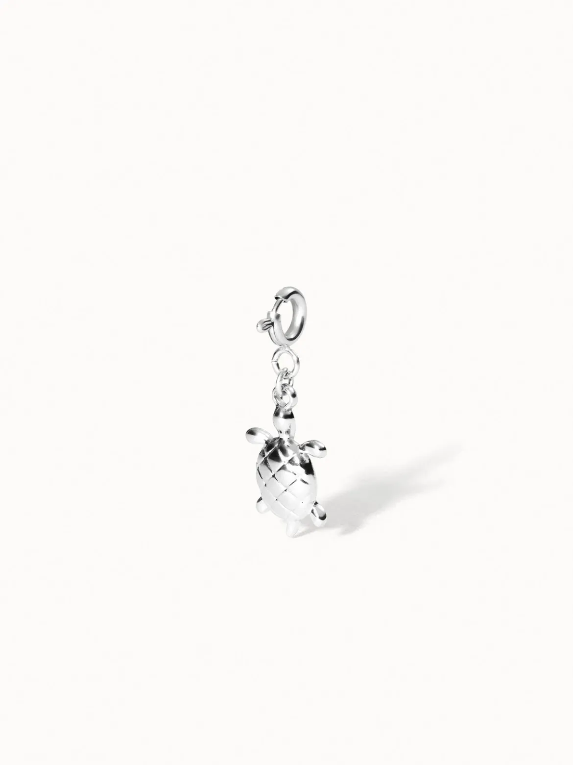 Flex Schildkröten Charm