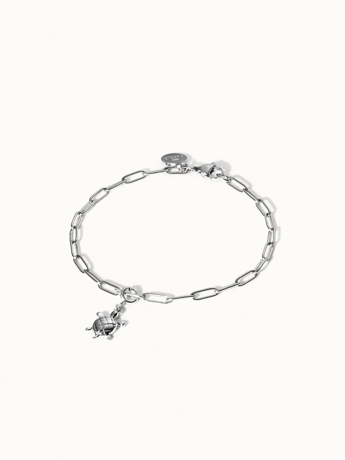 Flex Schildkröten Charm