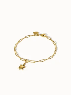 Flex Schildkröten Charm