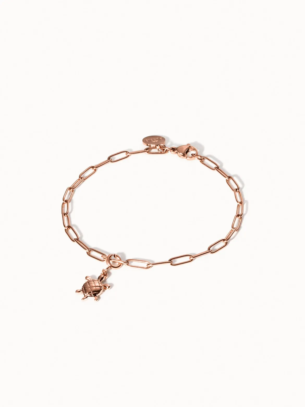 Flex Schildkröten Charm