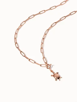 Flex Schildkröten Charm