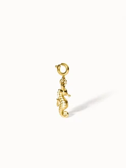 Flex Seepferdchen Charm