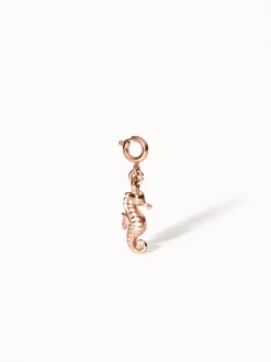 Flex Seepferdchen Charm