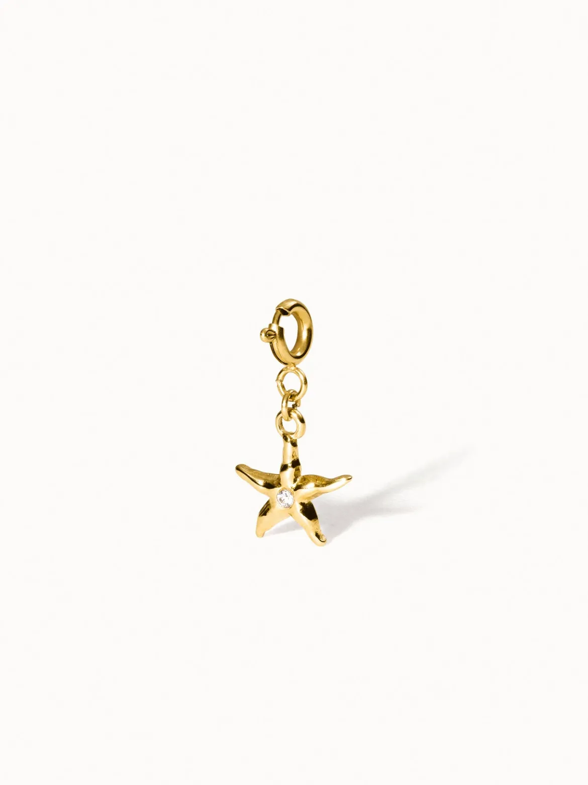 Flex Seestern Charm