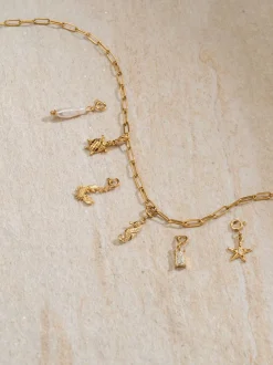 Flex Seestern Charm