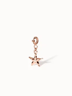 Flex Seestern Charm