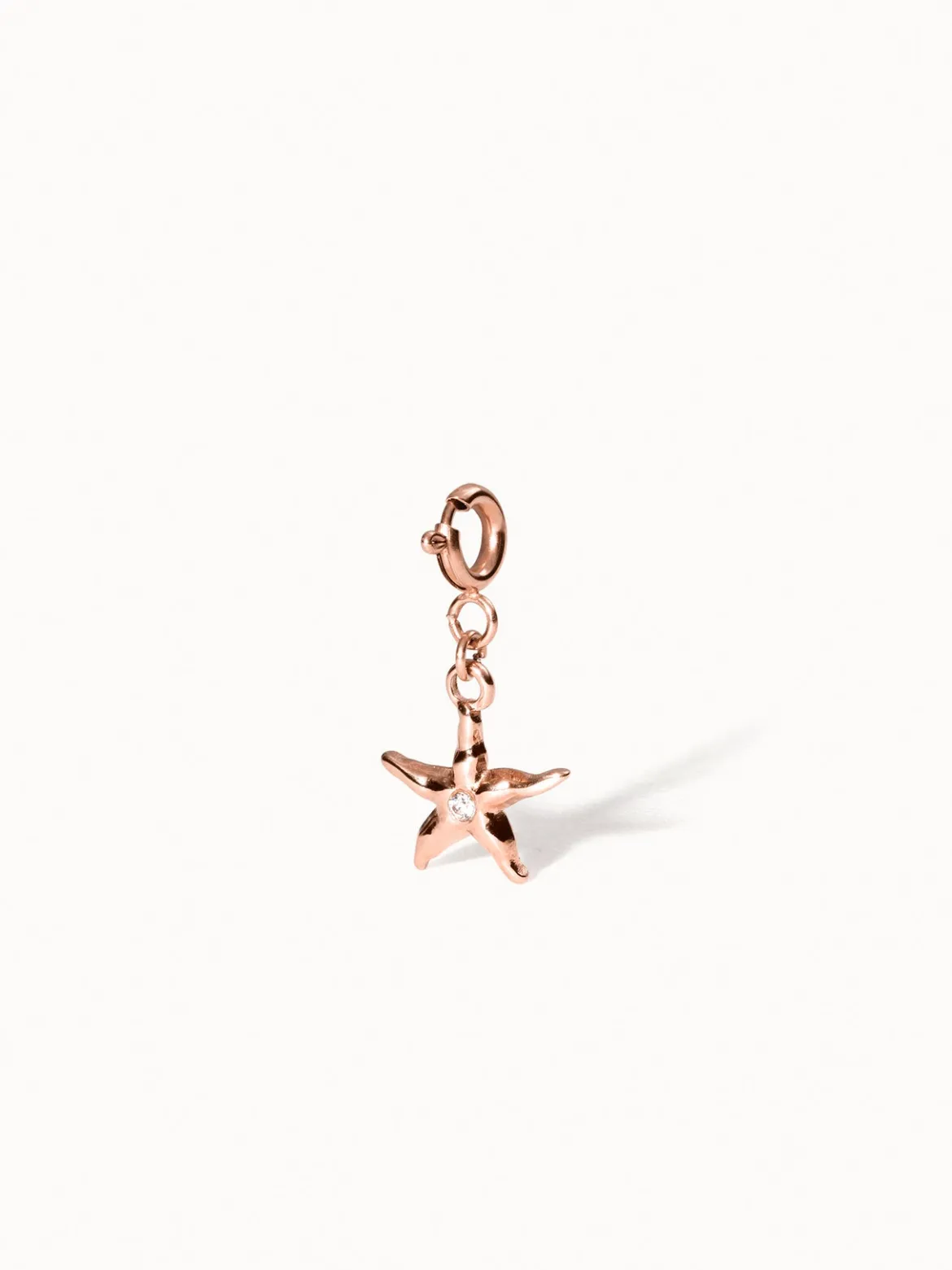 Flex Seestern Charm