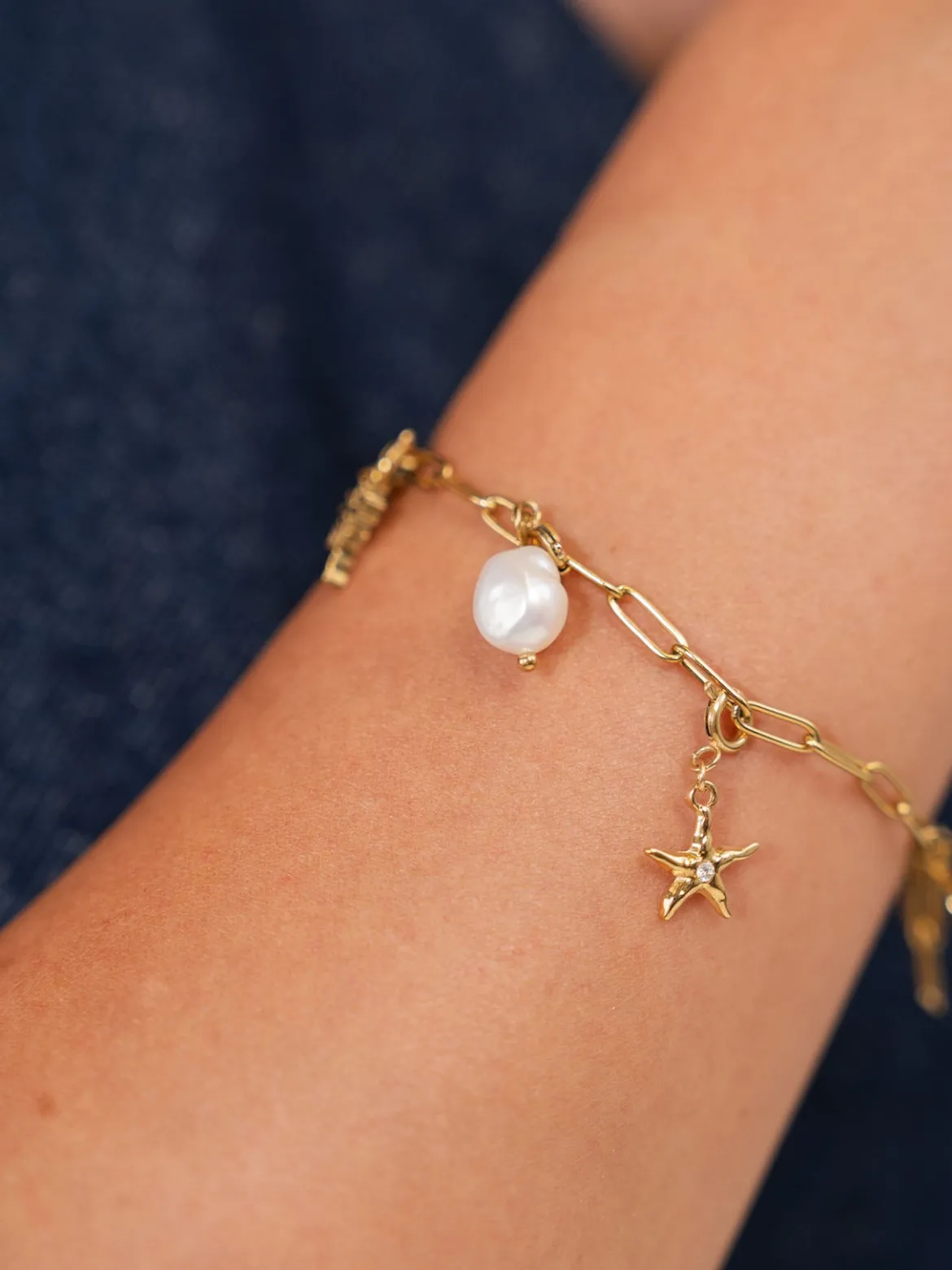 Flex Seestern Charm