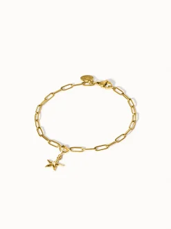 Flex Seestern Charm