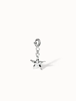 Flex Seestern Charm
