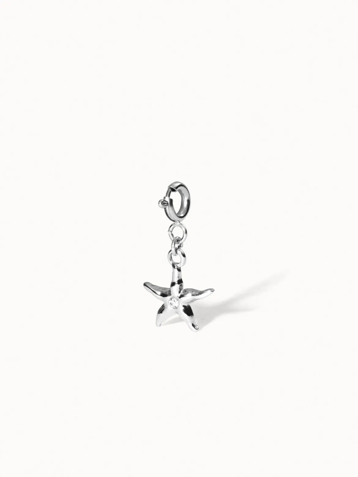 Flex Seestern Charm