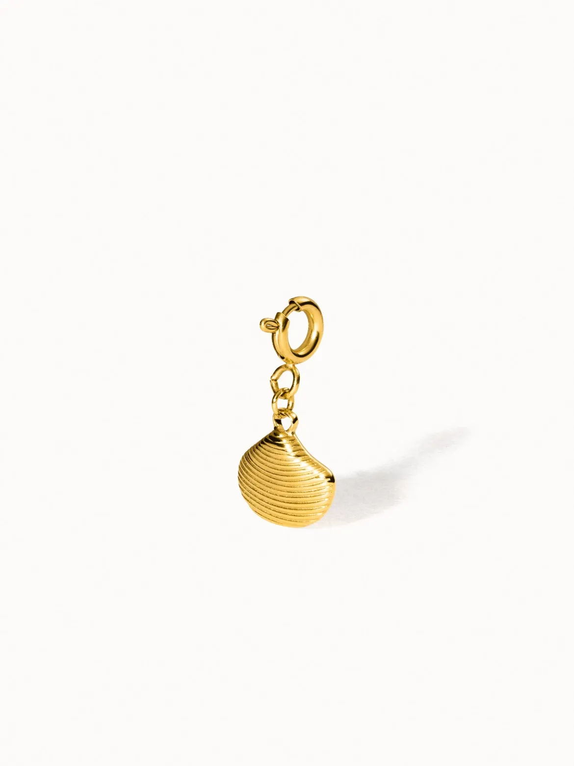 Flex Venusmuschel Charm