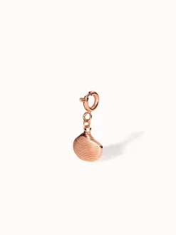 Flex Venusmuschel Charm