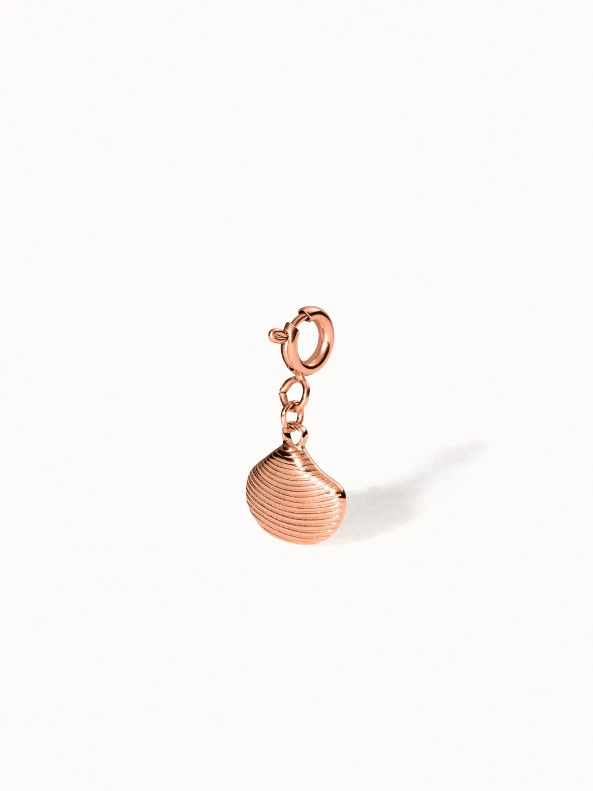 Flex Venusmuschel Charm