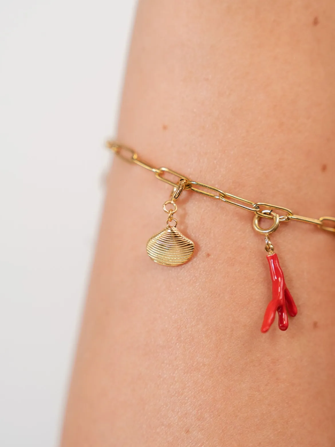 Flex Venusmuschel Charm