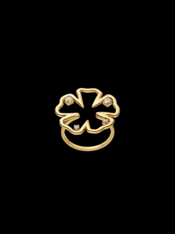 Jewelry Box Hibiscus Ring