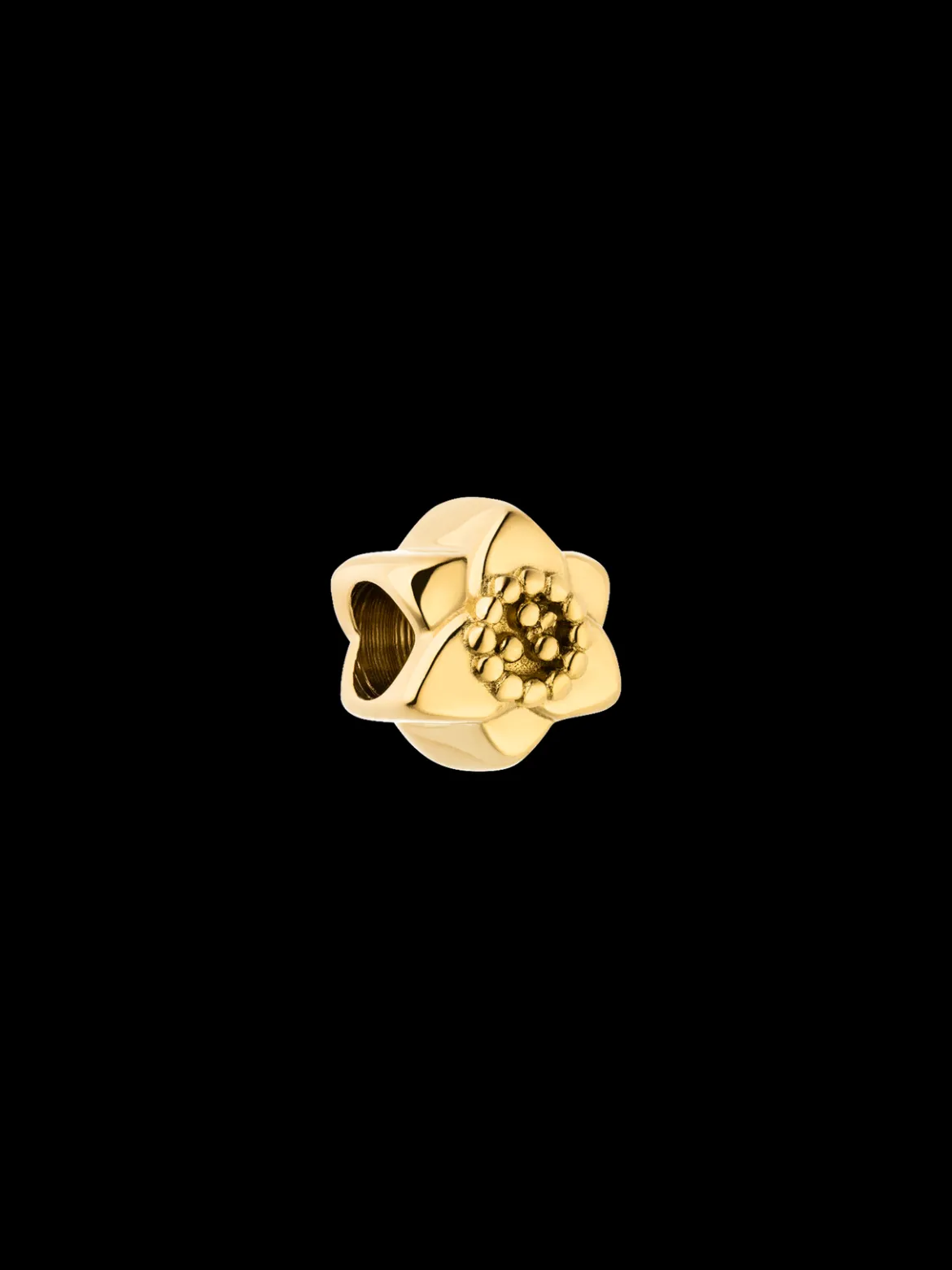 LEI Narzissen Charm - Geburtsblume Dezember