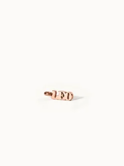 Leo Letter Charm