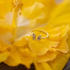Schmetterling Ring