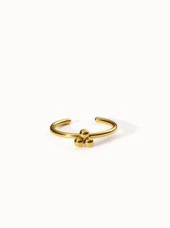 Seed Ring