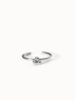 Seed Ring