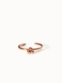 Seed Ring