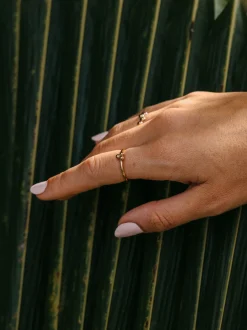 Seed Ring