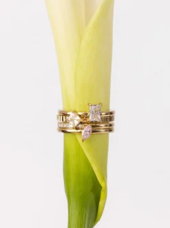 Serenity Ring Set