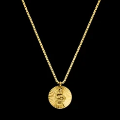 Snake Coin Kette