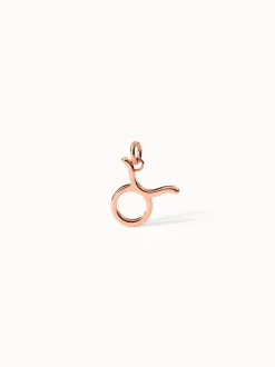 Stier Zodiac Charm